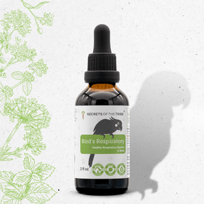 Bird's Respiratory - Healthy Respiratory System Support in Birds