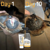 Absorbine Silver Honey Hot Spot & Wound Care Spray Gel for Dogs 8 oz. Absorbine