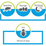 Advantage II Flea Prevention and Treatment XL Dogs Over 55lbs 4CT Bayer