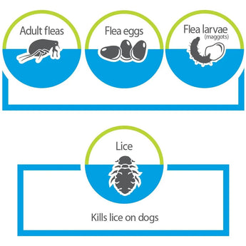Advantage Shampoo Flea and Tick Treatment for Dogs & Puppies 24 oz. Bayer
