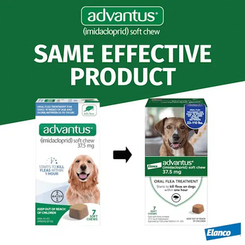 Advantus Flea Soft Chews for Large Dogs 23-110 lbs. 30 Count Bayer