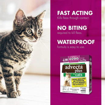 Advecta Plus Flea and Tick Treatment for Small Cats 4 Count Advecta