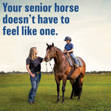 Bute-Less Comfort & Recovery Joint Supplement with B-12 for Horses Absorbine