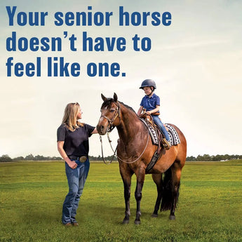 Bute-Less Comfort & Recovery Joint Supplement with B-12 for Horses Absorbine