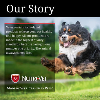 Cetyl M Advance Healthy Hips & Joints Action Care for Dogs 360 Tablets Nutri-Vet