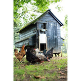 ChickenGuard Extreme Automatic Chicken Coop Door Opener ChickenGuard