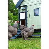 ChickenGuard Extreme Automatic Chicken Coop Door Opener ChickenGuard