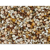 Versele-Laga Classic Racing Pigeon Foods Blends 15% Popcorn 50lbs. Versele-Laga