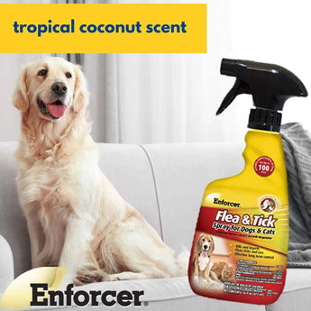 Enforcer Flea & Tick Spray For Dogs & Cats 16 oz. Enforcer