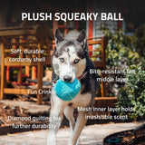 Playology Plush Squeaky Ball Dog Toy All-Natural Beef Scent, LG PLAYOLOGY