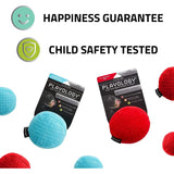 Playology Plush Squeaky Ball Dog Toy All-Natural Beef Scent, LG PLAYOLOGY