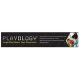 Playology Plush Squeaky Ball Dog Toy All-Natural Beef Scent, LG PLAYOLOGY