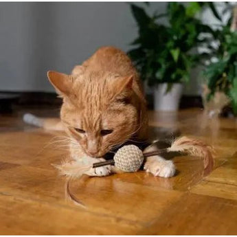 SPOT Naturals Silver Vine Cord/Stick Cat Toy Assorted, Medium SPOT