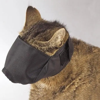 Top Performance Lined Nylon Cat Muzzles, Black Top Performance