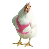 Valhoma Pet Chicken Harness and/or Leash Bright Fun Colors Pet Duck Goose Valhoma