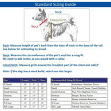 Zack & Zoey America's Pup Flag-Print Tee Shirt for Dogs, Gray Zack & Zoey