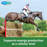 Farnam Apple Elite Electrolyte Powder For Horses 5lbs. Farnam