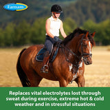 Farnam Apple Elite Electrolyte Powder For Horses 5lbs. Farnam