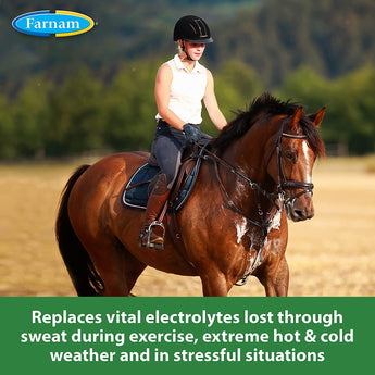 Farnam Apple Elite Electrolyte Powder For Horses 5lbs. Farnam
