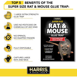 HARRIS Rat and Mouse Glue Trap, Super Size Harris
