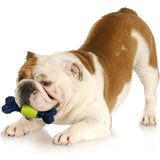 Nylabone Power Play Tennis Play 'N Fetch Interactive Dog Toy Nylabone