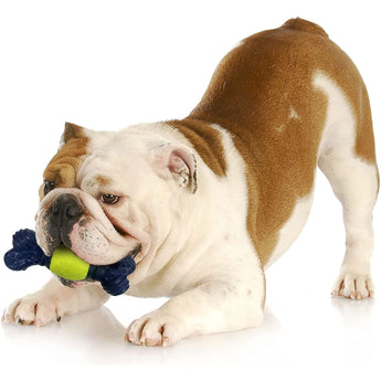 Nylabone Power Play Tennis Play 'N Fetch Interactive Dog Toy Nylabone