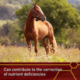 Vita Flex E and Selenium Supplement for Horses 20lbs. 320 Day Supply Vita Flex
