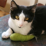 Wrap-It-Up 4" Self Cohesive Flexible Bandages Pets Animals & Humans 18CT, Pink Piccardmeds4pets.com